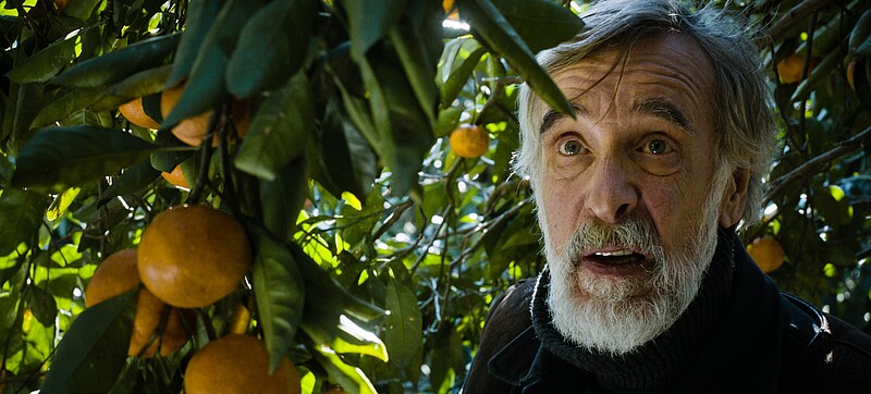 Mandariinid / Mandarynki / Tangerines