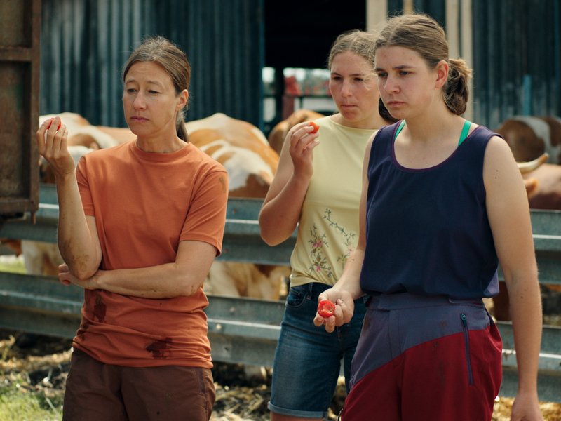 Milch ins Feuer / Smell of Burnt Milk