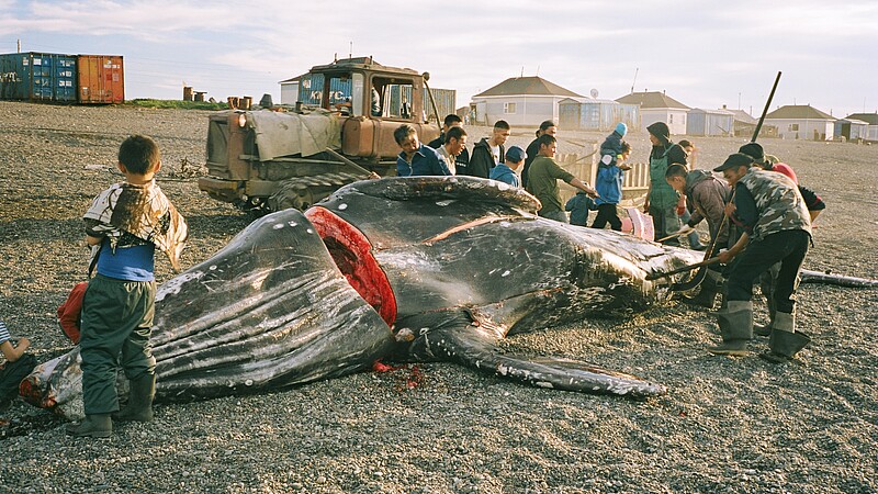 Wieloryb z Lorino / The Whale from Lorino